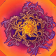 Illustration for article titled Incredible Photographs of Fractals Found in the Natural World